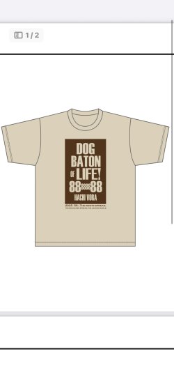 画像1: はちボラチャリティーTシャツ　2025